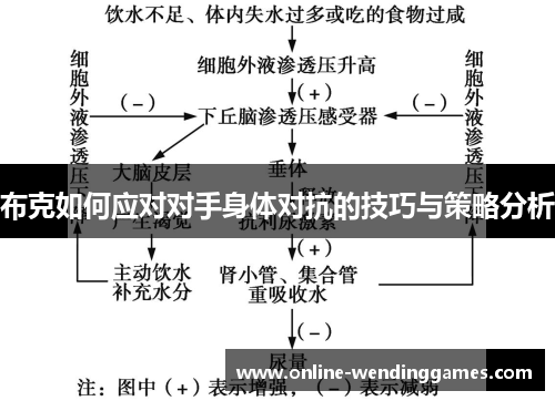 布克如何应对对手身体对抗的技巧与策略分析