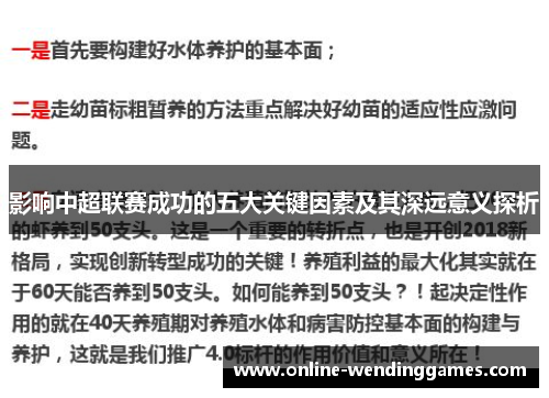 影响中超联赛成功的五大关键因素及其深远意义探析