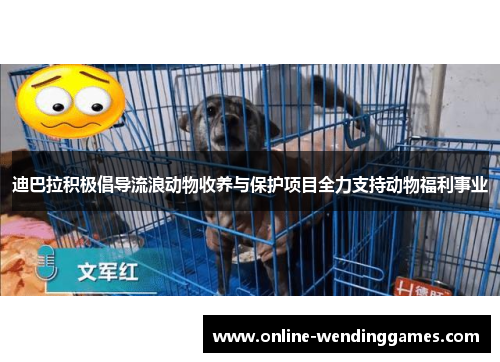 迪巴拉积极倡导流浪动物收养与保护项目全力支持动物福利事业 迪巴拉积极倡导流浪动物收养与保护项目全力支持动物福利事业