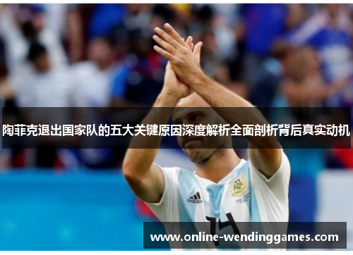 陶菲克退出国家队的五大关键原因深度解析全面剖析背后真实动机