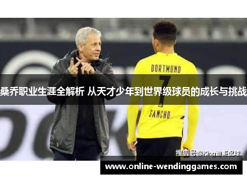 桑乔职业生涯全解析 从天才少年到世界级球员的成长与挑战